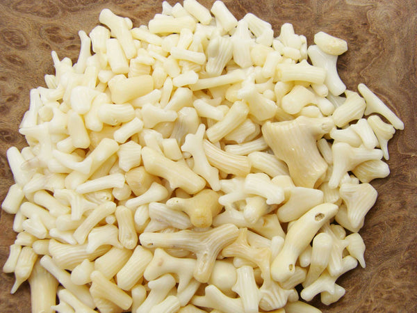 Mini Tumbled Polished Bamboo Coral, 1/4 LB