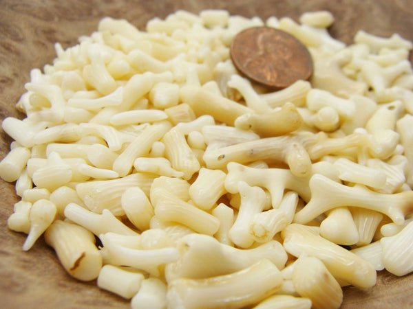 Mini Tumbled Polished Bamboo Coral, 1/4 LB