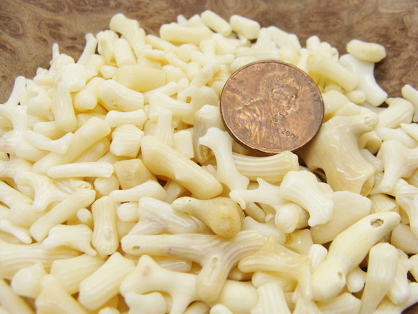 Mini Tumbled Polished Bamboo Coral, 1/4 LB