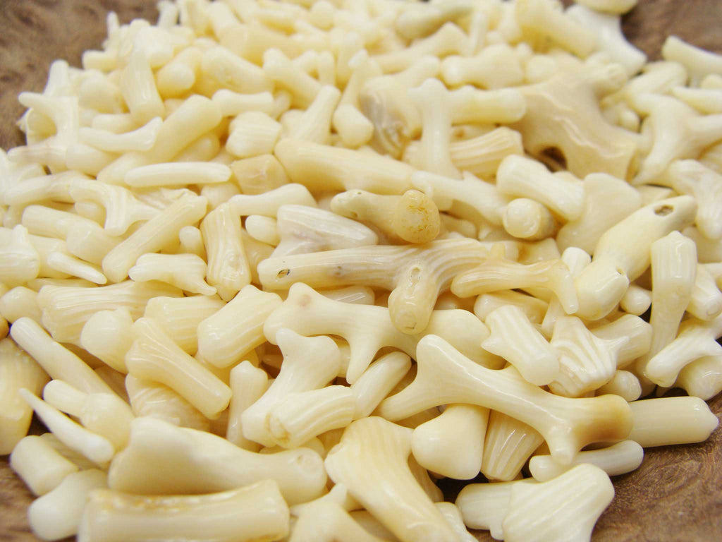 Mini Tumbled Polished Bamboo Coral, 1/4 LB