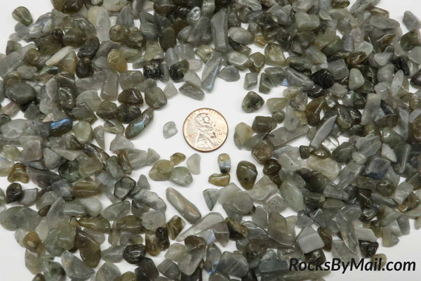 Mini Tumbled Polished Labradorite Chips, 1/4 LB