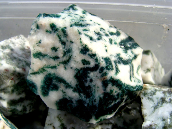 Tree Agate