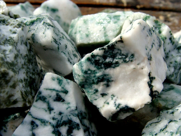 Tree Agate