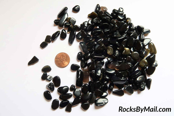 Mini Tumbled Polished Gold Sheen Obsidian, 1/4 LB