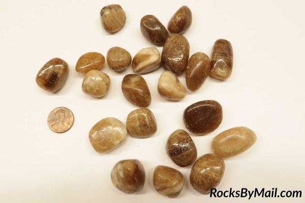 Brown Aragonite Polished Tumbles