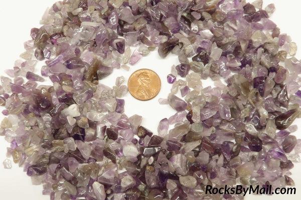 Mini Tumbled Dogtooth Amethyst, 1/4 lb
