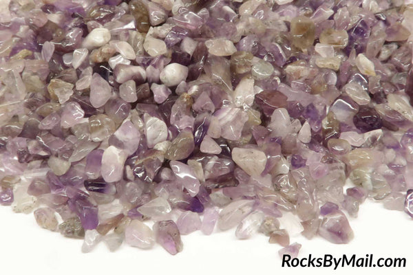 Mini Tumbled Dogtooth Amethyst, 1/4 lb
