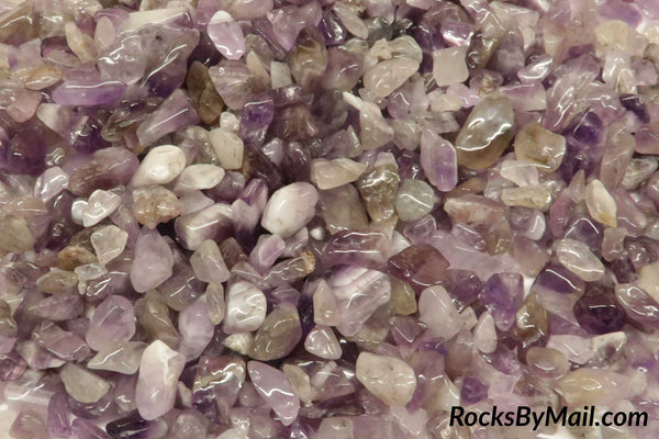 Mini Tumbled Dogtooth Amethyst, 1/4 lb