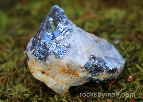 Galena in Quartz