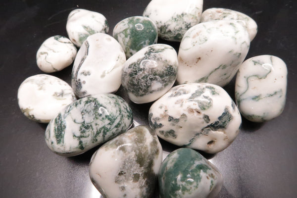 Tree Agate Polished Tumbles