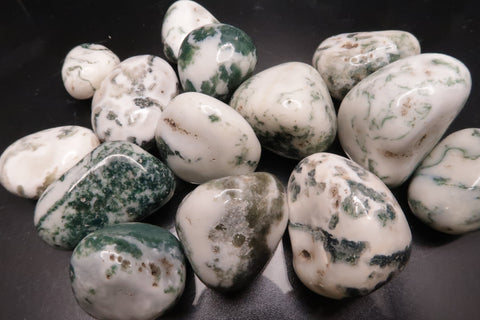 Tree Agate Polished Tumbles