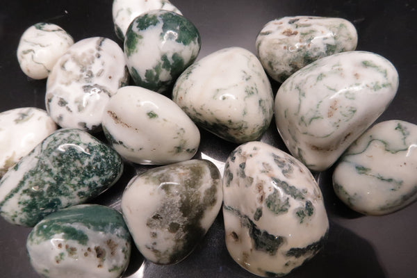 Tree Agate Polished Tumbles