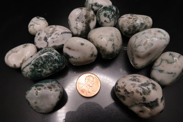 Tree Agate Polished Tumbles