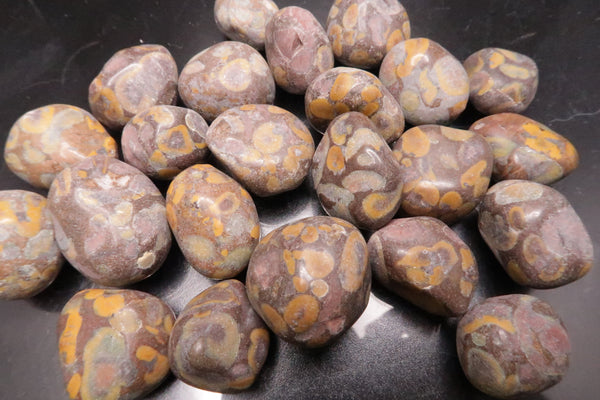 Matte Leopard Skin Jasper Polished Tumbles