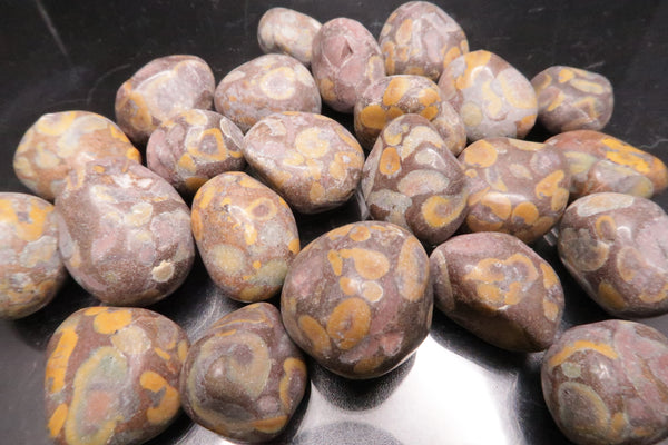 Matte Leopard Skin Jasper Polished Tumbles