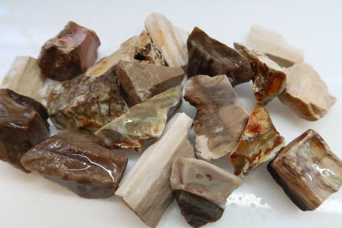 Petrified Wood