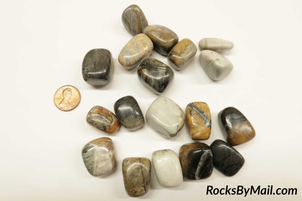 Picasso Jasper Polished Tumbles, 1/2 LB