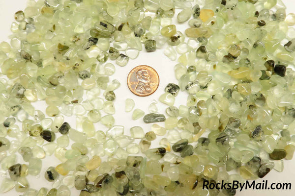 Mini Tumbled Polished Prehnite Chips 5-7 mm